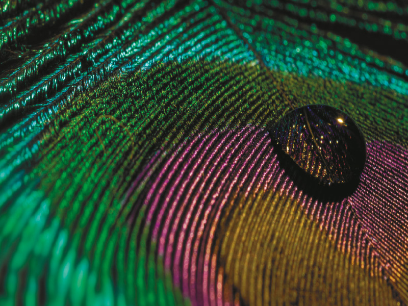 Краски декоративные